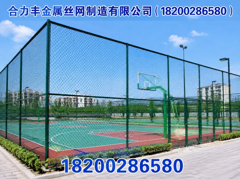 成都球场围网展示图